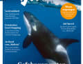 2nd place: Issue 5/23