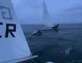 There are said to have been at least four animals in total accompanying the Ilca sailors from Strande