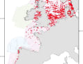 Hotspots der Schweinswal-Vorkommen von Spanien bis in die Ostsee