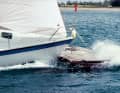 Fahrtenyachten sind erstaunlich robust. 1985 unterzog die YACHT-Redaktion eine Dehler 34 einem aufsehenerregenden Crash-Test. Das Boot wurde mit Volldampf auf Treibholz, Con­tainer und zum Schluss auf eine Steinmole gefahren. Fazit: Das Boot nahm kaum Schaden