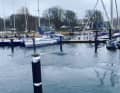 Même entre les pontons, l'une des deux baleines est apparue