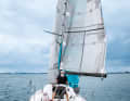 Almost at the top: The more cloth there is on the rig, the more the course matters. Here it is too deep, the genoa and gennaker get nervous and rotate to port. A little luffing helps. Once the halyard is set, haul through the jib line