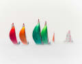 Canadian photographer Christian Bonin took a very special shot in the fog during a 29er youth regatta