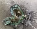 Une bulle d'osmose fortement agrandie au microscope