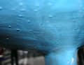 This finding seems clear from the bubbles, but it is not necessarily osmosis