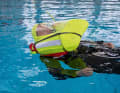 Deckvest 6D 275N Elite