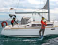 A very sophisticated system for the entire process is the Catch and Lift from MS-Safety