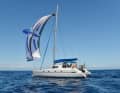 Uno spinnaker ad ala di Istec o Oxley ha i suoi punti di forza sulle rotte profonde e funziona molto bene con l'autopilota.