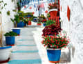 Les villages typiques de l'île : A Poros, des marches raides mènent aux ruelles au-dessus du port.