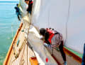 The multiply divided sail area makes handling easier, but increases the number of manoeuvres. There are no furling systems and the deck layout has been left as original