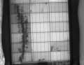 Cell fractures become visible in the electroluminescence test; this module has fallen victim to an unsuccessful feeder