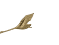 The golden swans on the stem stand for the main character in August Strindberg's play
