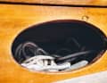 ... or the swallows' nests in the cockpit