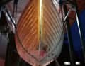 ... which has to be closed with the parts of the "donor boat" and a lot of work