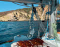 Hartley pulls lobsters and other sea creatures out of the water off the coast of Mexico