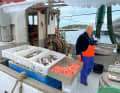 Fresh catch: Seafood is available at the market and from the cutter in Stavanger