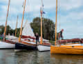 The catboats look very different despite the almost identical rigging