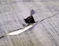 Take a close look at the actual size of the tear to determine the size of the patch. The position of the damaged area is also important here. The loads are greater near the leech, head, neck and clew. A larger patch helps to absorb and distribute the forces