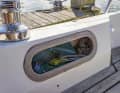 Swallow nests are practical and are also suitable for the air intake of the heating system