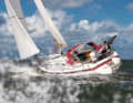 The weather on the boat: around 20 knots of gusty wind, a slight chop in the sheets and sunshine. Even if the 31 HT doesn't care about that, the rest is just her thing: she acknowledges it with a speed of just under seven knots