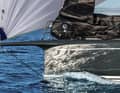 The long trunk ensures efficiency. There is also a shorter bowsprit for touring.