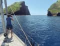 Due rocce verdi emergono dall'acqua nel sud di Terceira. Qui vale la pena tenere d'occhio le balene.