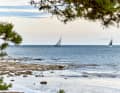 Ostsee-Sommernachtstraum dagegen auf Gotland