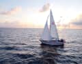 Jakob Lang dokumentierte sein Abenteuer seit dessen Beginn mit der Kamera. Seine reportageartigen Videos werden von Tausenden Menschen angesehen. Mittlerweile hat er über 10.000 Follower auf YouTube (@jakoblangsailing). Für seine Reise sind die sozialen Netzwerke von großer Bedeutung: Er plant, mithilfe seiner Reichweite auf die Verschmutzung der Meere aufmerksam zu machen.