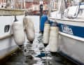 Mal lang und dünn, mal kurz und dick: An Bord jeder Yacht sollten mindestens sechs bis acht Langfender vorhanden sein.