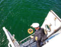 Lentement, le capitaine fait descendre l'urne avec la couronne de fleurs dans la mer.