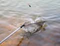 Useful: the landing net can be used to bring the wriggling catch safely on board.