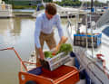Especially when stowing food, there are a few precautions to take to prevent pests from finding their way on board.