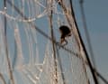 Spiders are not harmful, but are not usually welcome.