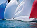Blue, white, red: the random interplay of colours symbolises the dominance of the French.