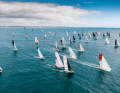 Des petites caisses en pleine forme : les participants à la Mini Transat 2023 peu après le départ.
