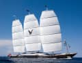 ... auf der „Maltese Falcon“.