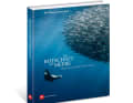 Illustrated book "The message of the seas"
