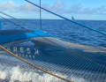 Tom Laperche's view from aboard his "SVR Lazartigue"