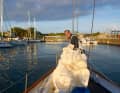 Etappenstopp: Roscoff