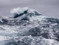 Wie gemalt türmt sich diese Südmeer-Welle auf