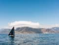 Here, "Malizia - Seaexplorer" reaches the South African port of call Cape Town after an exciting final phase on leg two