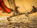Nacra im goldenen Schein fotografiert von Andrey Sheremetev