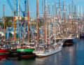 138 bateaux, dont certains venant de loin, ont rempli les quais.