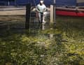 Mit dem Wasser kommen Algen und Müll: Strande bei Nacht