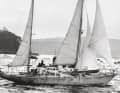 May 1967: After 226 days of sailing, the sleek "Gipsy Moth IV" bears the marks of over 28,000 nautical miles on her hull and rig. Initially, Chichester wanted to beat the best times of the old tall ships on the clipper route to Australia. But then he sailed back to Plymouth after just one and a half months, becoming the first single-handed sailor to round all three major capes of the world - with just one stop.