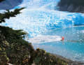 The "Freydis" in a glacier bay in Tierra del Fuego