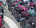 The Spanish police's lined-up finds