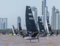 Le championnat du monde des papillons de nuit s'est déroulé cette année à Buenos Aires, en Argentine, dans un cadre magnifique.