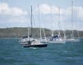 Die Yachten versammelten sich in der Mitte der Bucht.