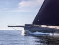 La trompe anguleuse ressemble à une passerelle et guide à son extrémité de gigantesques voiles de code